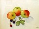 18 - Autumn Fruits - June Cutler
